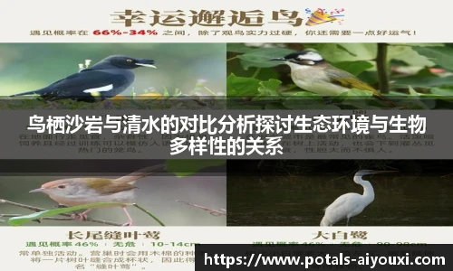 鸟栖沙岩与清水的对比分析探讨生态环境与生物多样性的关系